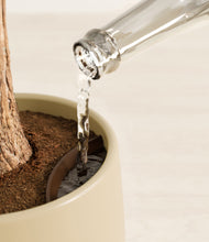 Load image into Gallery viewer, Almond Green stand:all