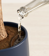 Load image into Gallery viewer, Deep Navy stand:all