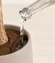 Load image into Gallery viewer, Eternal Gray stand:all