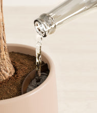 Load image into Gallery viewer, Gentle Pink stand:all