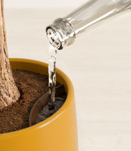 Load image into Gallery viewer, Mustard stand:all