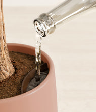 Load image into Gallery viewer, Calm Rose stand:all