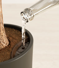 Load image into Gallery viewer, Dark Olive stand:all