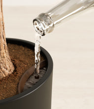 Load image into Gallery viewer, Black stand:all