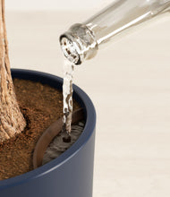 Load image into Gallery viewer, Deep Navy stand:all