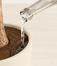 Load image into Gallery viewer, Cream stand:all