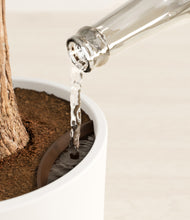 Load image into Gallery viewer, White stand:all