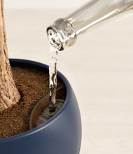 Load image into Gallery viewer, Deep Navy stand:all