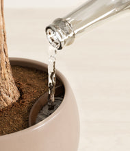 Load image into Gallery viewer, Desert Brown stand:all