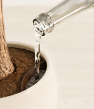 Load image into Gallery viewer, Shiny EggWhite stand:all