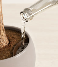 Load image into Gallery viewer, Winter Clouds stand:all