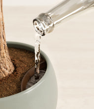 Load image into Gallery viewer, Deep Ocean stand:all