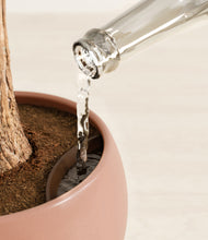 Load image into Gallery viewer, Calm Rose stand:all