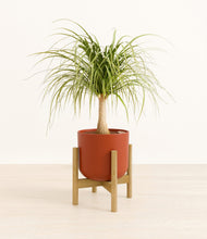 Load image into Gallery viewer, Earth Red stand:bamboo