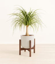 Load image into Gallery viewer, Natural Bamboo stand:walnut