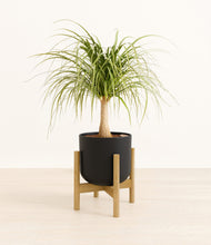 Load image into Gallery viewer, Stone Black stand:bamboo
