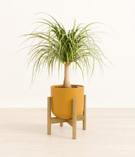 Load image into Gallery viewer, Sunset Orange stand:bamboo