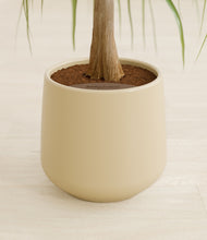 Load image into Gallery viewer, Almond Green stand:all