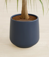 Load image into Gallery viewer, Deep Navy stand:all