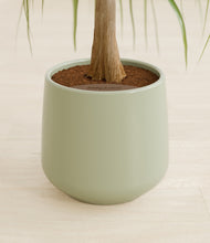 Load image into Gallery viewer, Turquoise stand:all