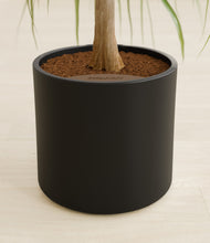 Load image into Gallery viewer, Black stand:all