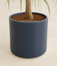 Load image into Gallery viewer, Deep Navy stand:all