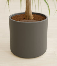 Load image into Gallery viewer, Dark Olive stand:all