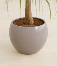 Load image into Gallery viewer, Winter Clouds stand:all