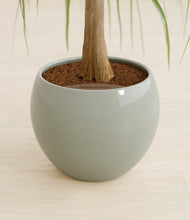 Load image into Gallery viewer, Deep Ocean stand:all