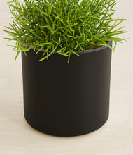 Load image into Gallery viewer, Black stand:all