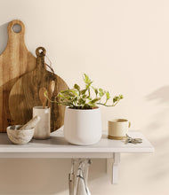 Load image into Gallery viewer, White