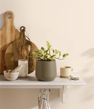 Load image into Gallery viewer, Olive