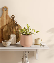 Load image into Gallery viewer, Gentle Pink