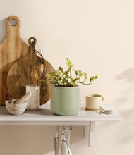 Load image into Gallery viewer, Turquoise