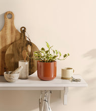 Load image into Gallery viewer, Glossy Red