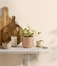 Load image into Gallery viewer, Glossy Pink