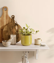 Load image into Gallery viewer, Key Lime Yellow