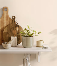 Load image into Gallery viewer, Sage Green