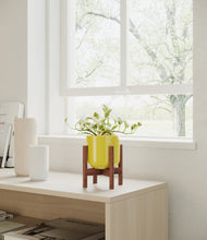 Load image into Gallery viewer, Key Lime Yellow stand:walnut