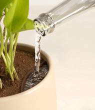 Load image into Gallery viewer, Almond Green stand:all