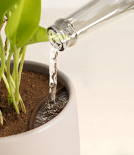 Load image into Gallery viewer, Eternal Gray stand:all