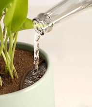 Load image into Gallery viewer, Turquoise stand:all