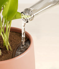 Load image into Gallery viewer, Calm Rose stand:all