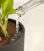 Load image into Gallery viewer, Dark Olive stand:all