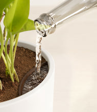 Load image into Gallery viewer, White stand:all