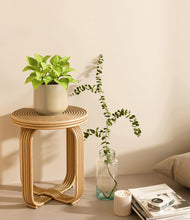 Load image into Gallery viewer, Almond Green