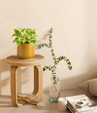 Load image into Gallery viewer, Mustard