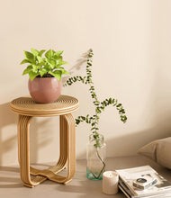 Load image into Gallery viewer, Calm Rose