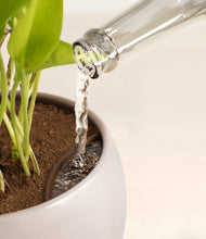 Load image into Gallery viewer, Winter Clouds stand:all