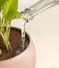 Load image into Gallery viewer, Calm Rose stand:all